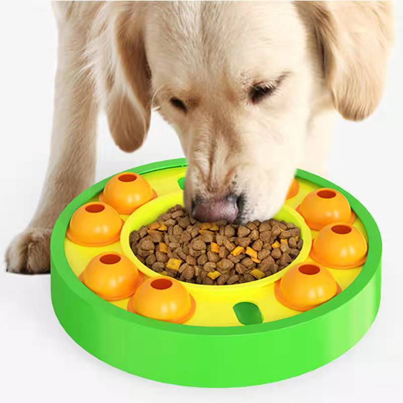 Jouet puzzle et mangeoire lente pour chien – Stimulateur de QI interactif