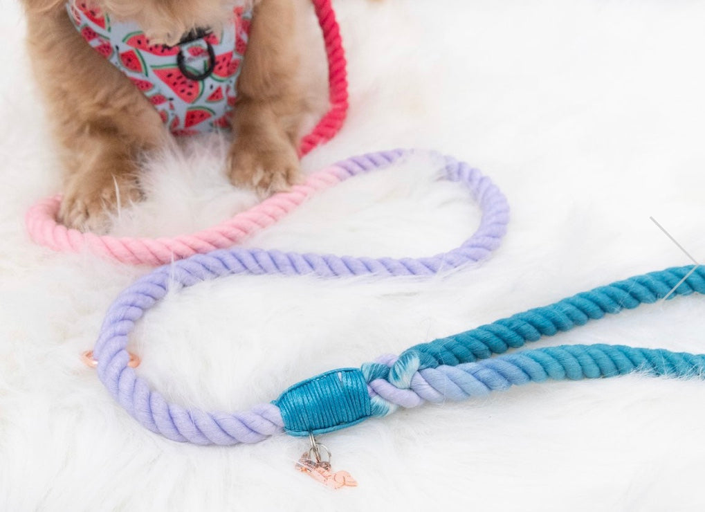 🐾 Pawsome Rope Leash – Handcrafted Style & Durability - Plum Perfect