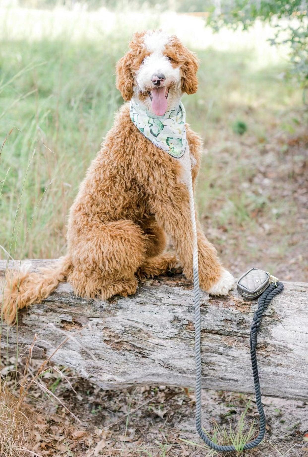 Dog Rope Leash - Watermelon Red