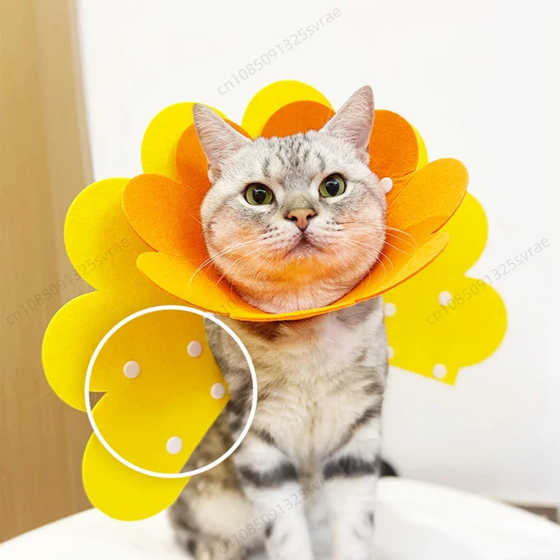 Pet Protective Collar 🐾 Dog & Cat Recovery Cone 🛡️ Anti-Bite & Lick Surgery Wound Healing