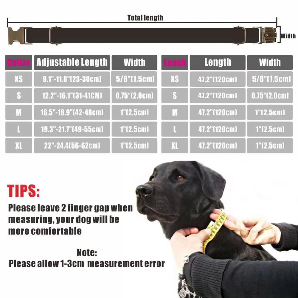 Personalized Velvet Dog Collar 🐶 Free Engraving ✨
