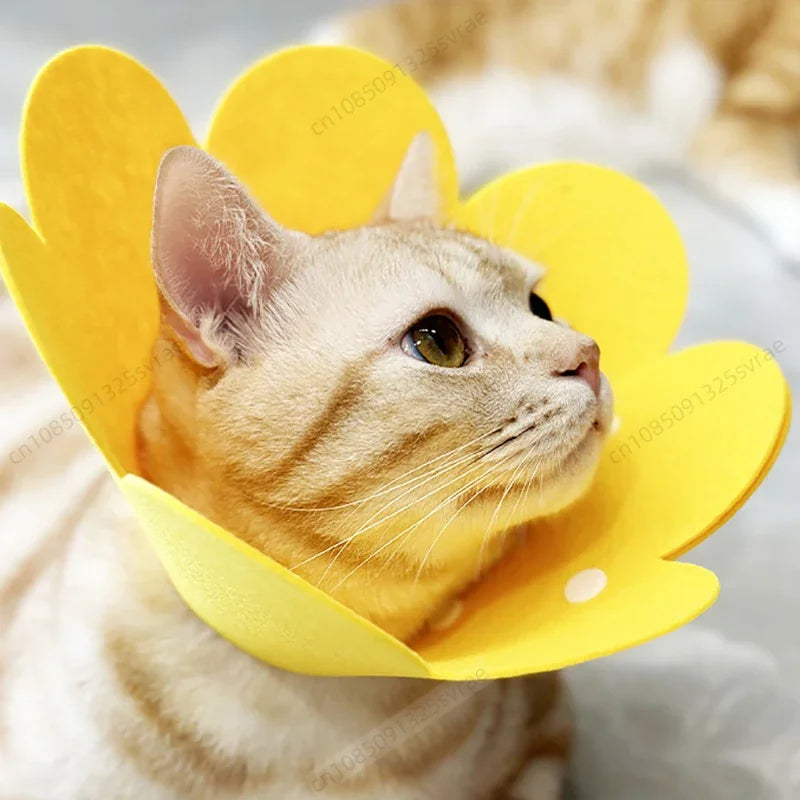Pet Protective Collar 🐾 Dog & Cat Recovery Cone 🛡️ Anti-Bite & Lick Surgery Wound Healing