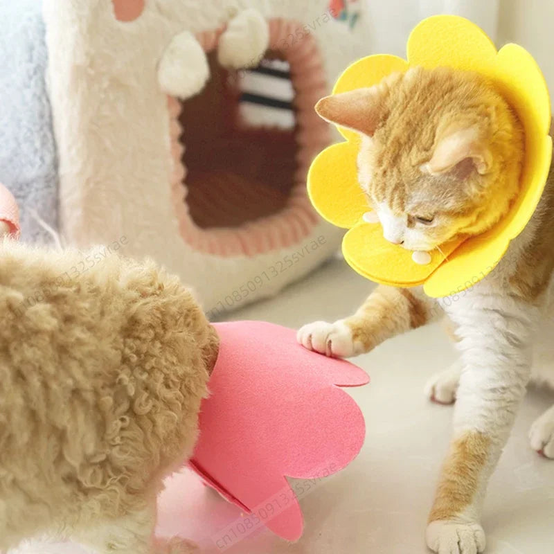 Pet Protective Collar 🐾 Dog & Cat Recovery Cone 🛡️ Anti-Bite & Lick Surgery Wound Healing