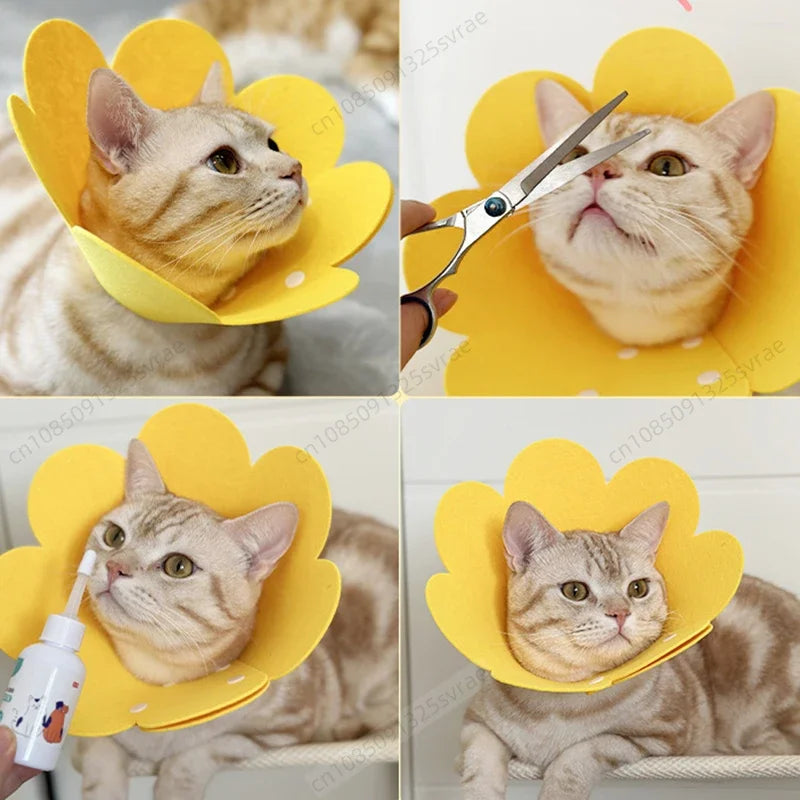 Pet Protective Collar 🐾 Dog & Cat Recovery Cone 🛡️ Anti-Bite & Lick Surgery Wound Healing