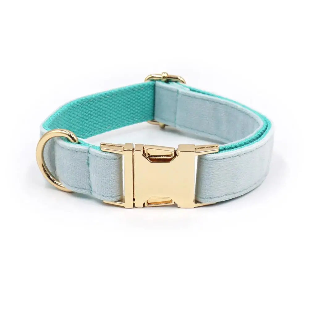 Personalized Velvet Dog Collar 🐶 Free Engraving ✨