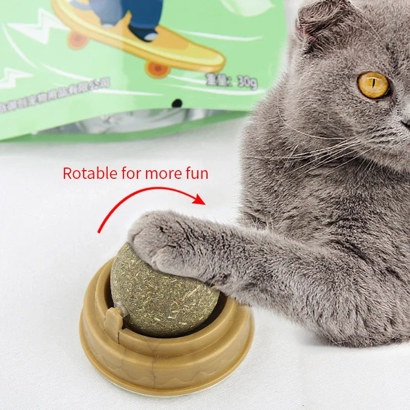 🌿 Balle à gratter murale à l'herbe à chat naturelle 🐱 – Jouet mural sain pour chats