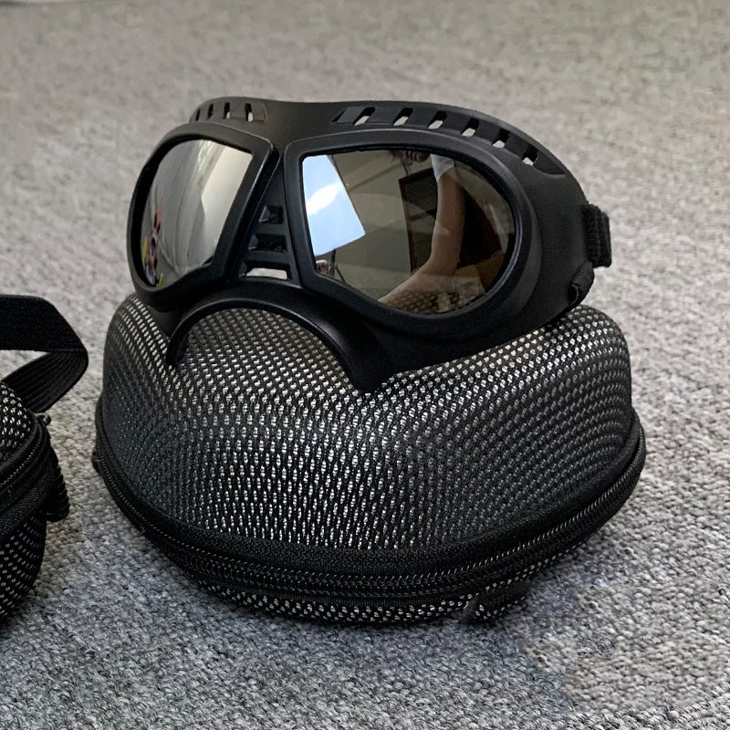 Lunettes de soleil pour animaux de compagnie, lunettes coupe-vent pour chien