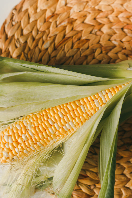 🌽 Wheat, Corn & Soy: Hidden Dangers for Our Beloved Pets 🐾