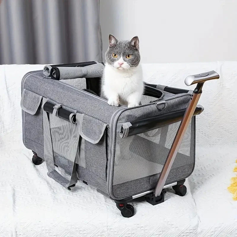Travel Accessories