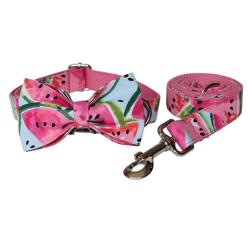 Fournitures pour animaux de compagnie Collier pour chien Laisse pour animaux de compagnie