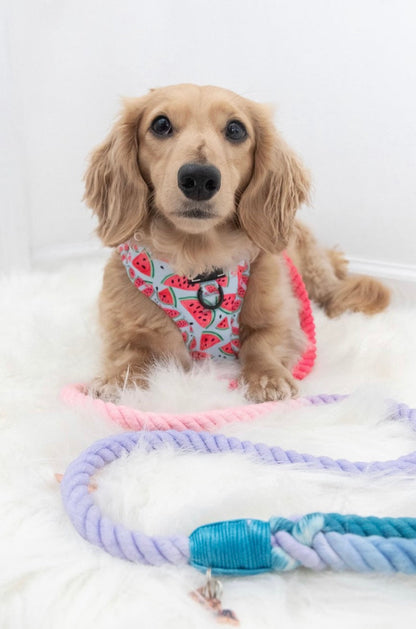 🐾 Pawsome Rope Leash – Handcrafted Style & Durability - Plum Perfect