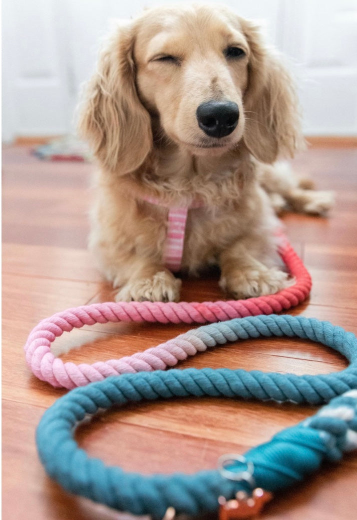 Rope Leash - Jack & Jill