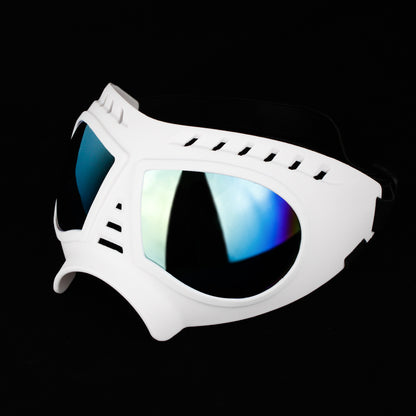 Lunettes de soleil pour animaux de compagnie, lunettes coupe-vent pour chien