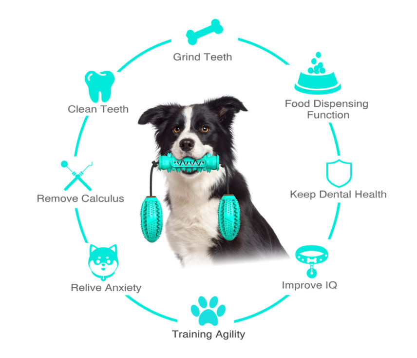 🐶 Dog Toothbrush Rubber Bone – Dental Cleaning Chew Toy 🦷