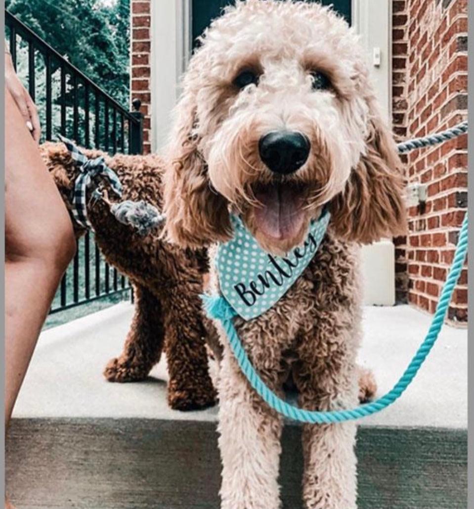 🐾 Pawsome Rope Leash – Handcrafted Style & Durability - Bubbles