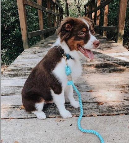 🐾 Pawsome Rope Leash – Handcrafted Style & Durability - Bubbles