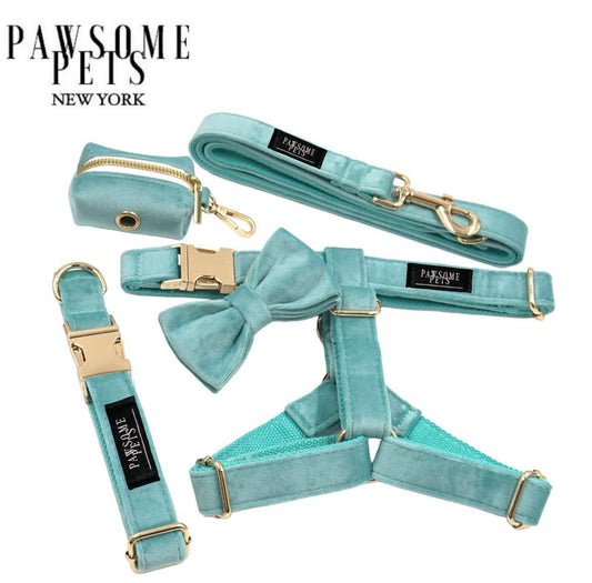 Pawsome Pets NY Walking Set – Adjustable Harness, Collar, Leash, Bowtie & Poop Bag Holder (