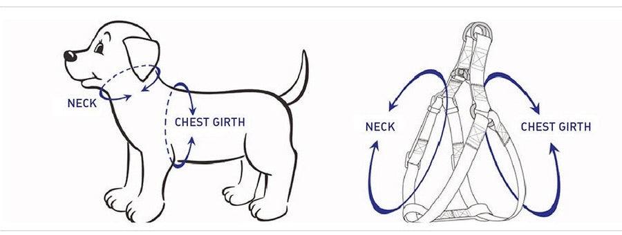 Luxury Pet Walking Set – Harness, Leash, Bowtie & Poop Bag Holder