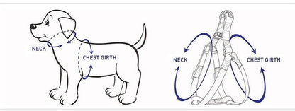 Luxury Pet Walking Set – Harness, Leash, Bowtie & Poop Bag Holder