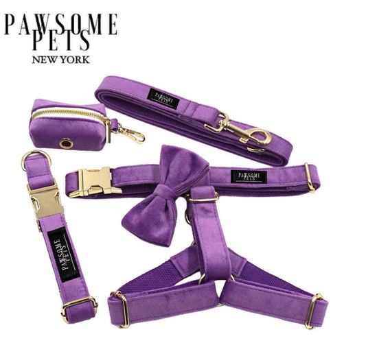 Luxury Pet Walking Set – Harness, Leash, Bowtie & Poop Bag Holder