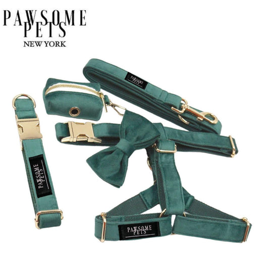 Luxury Pet Walking Set – Harness, Leash, Bowtie & Poop Bag Holder
