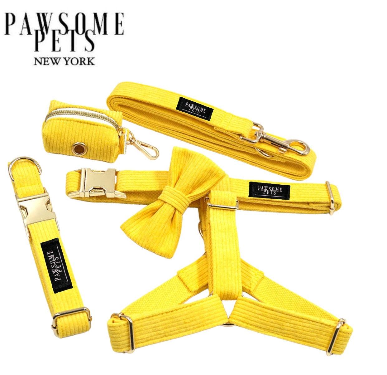 Pawsome Pets NY Walking Set – Harness, Leash, Collar, Bowtie & Poop Bag Holder