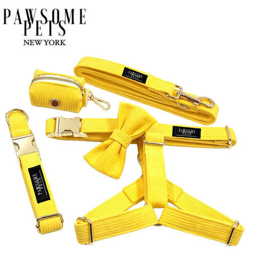 Pawsome Pets NY Walking Set – Harness, Leash, Collar, Bowtie & Poop Bag Holder