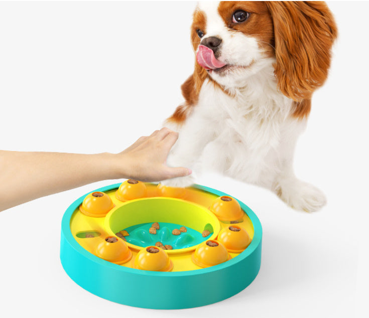 Jouet puzzle et mangeoire lente pour chien – Stimulateur de QI interactif