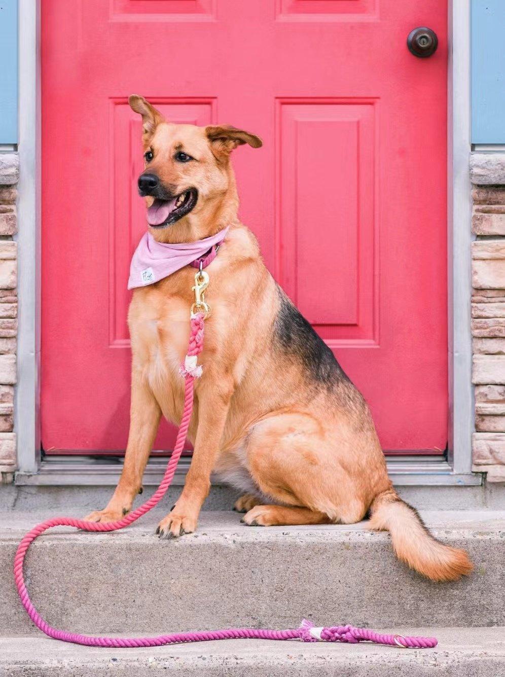 Dog Rope Leash - Watermelon Red