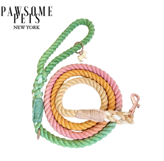 🐾 Pawsome Rope Leash – Handcrafted Style & Durability - Bridgette