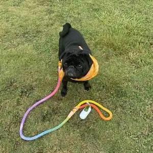 Dog Rope Leash - Watermelon Red