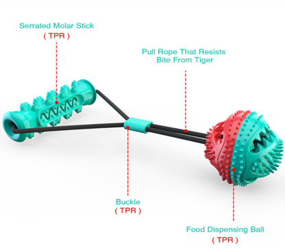 🐶 Dog Toothbrush Rubber Bone – Dental Cleaning Chew Toy 🦷
