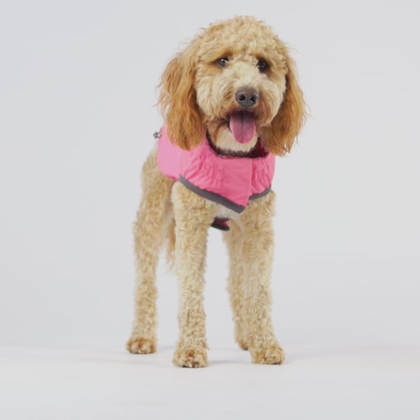 Reversible Elasto-Fit Raincoat - Pink/Pink