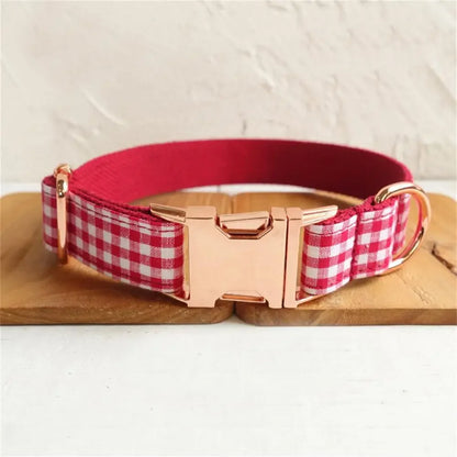 Collier personnalisé pour animal de compagnie 🐾 Ensemble étiquette d'identification et laisse personnalisées 🎀 Réglable