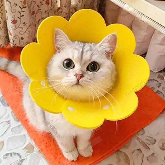 Pet Protective Collar 🐾 Dog & Cat Recovery Cone 🛡️ Anti-Bite & Lick Surgery Wound Healing