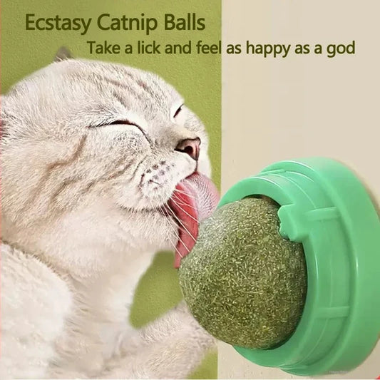 🌿 Natural Catnip Wall Scratching Ball 🐱 – Healthy Wall Toy for Cats