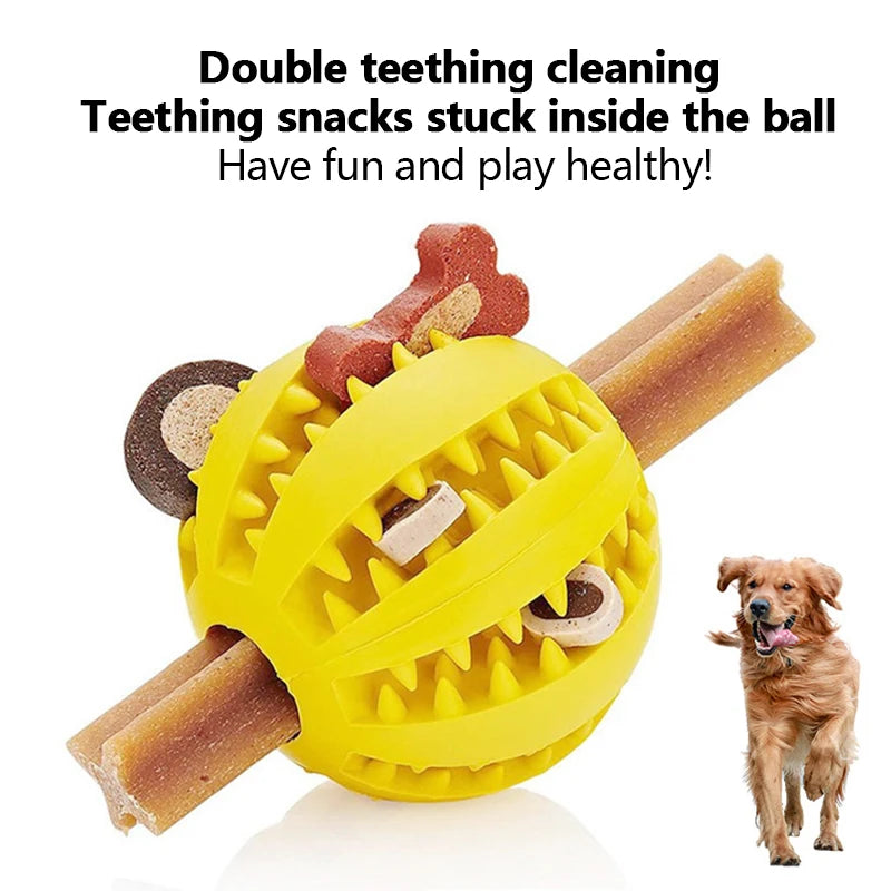 Balle jouet molaire pour chien 🦷 Jouet à mâcher en caoutchouc durable 🐶 Balle rebondissante pour le nettoyage des fuites de nourriture et des dents 🐾