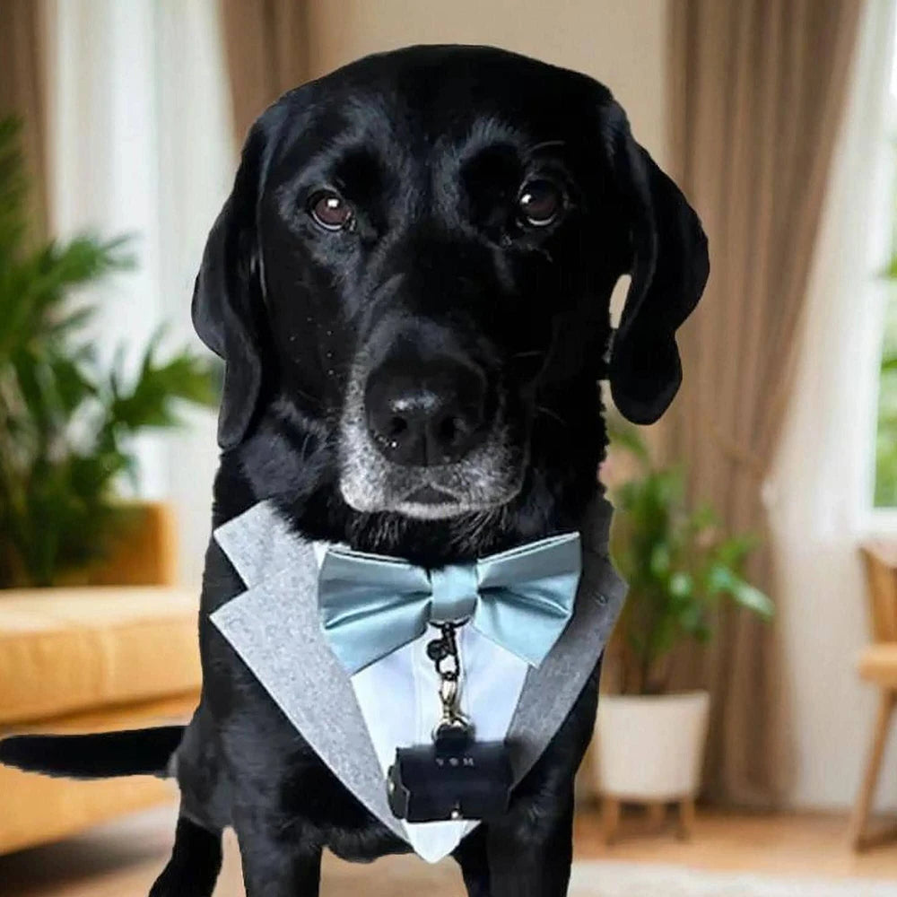 Pochette porte-alliances en cuir avec initiales personnalisées – Porte-alliances pour collier de chien personnalisé 💍🐾