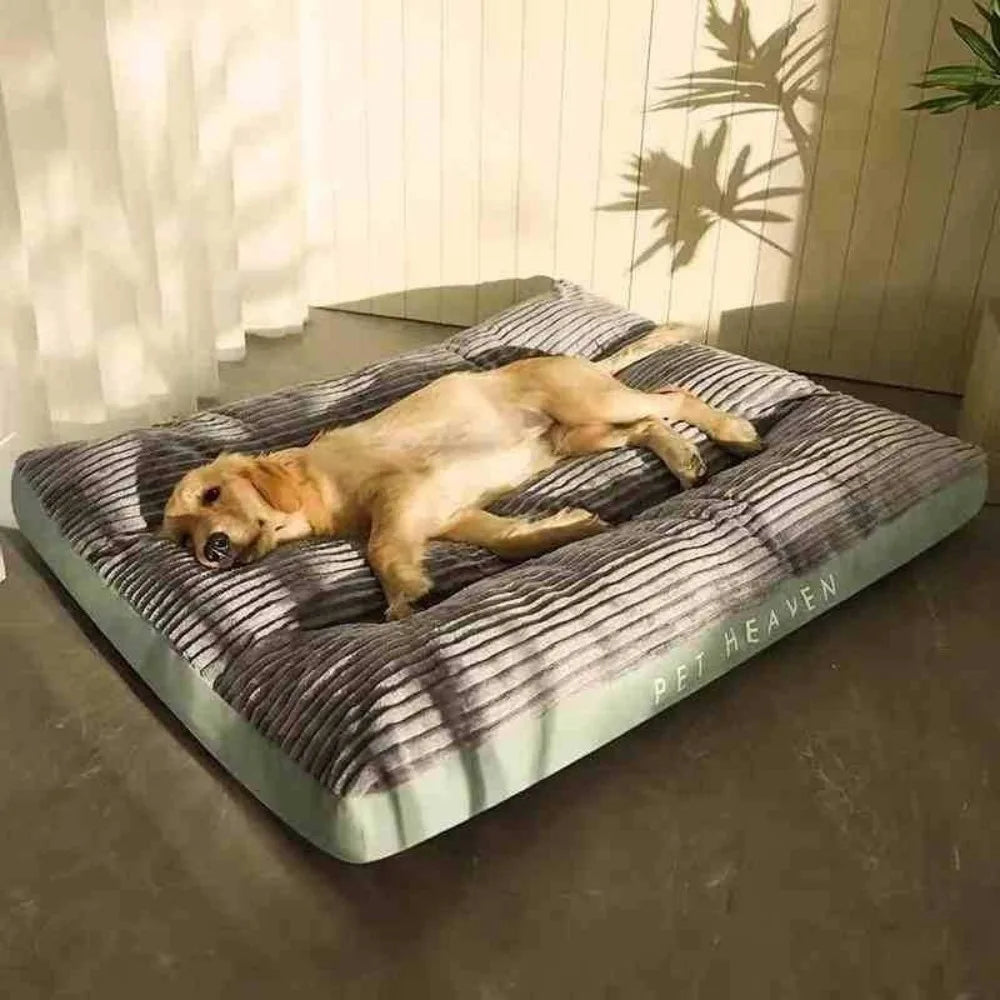 🛏️ New Corduroy Pet Bed – Soft, Warm & Washable for Dogs & Cats 🍂🐾