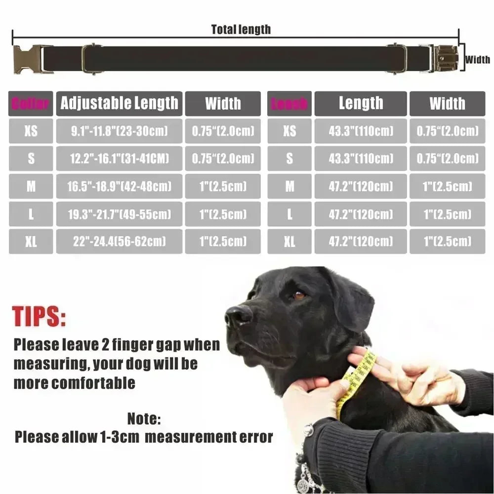 Collier pour chien personnalisé avec gravure gratuite, laisse assortie, boucle métallique à contacts personnalisés, collier à carreaux rose vert