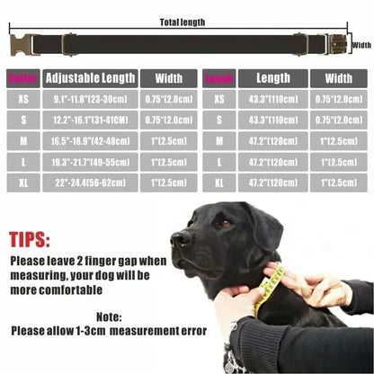 Collier pour chien personnalisé avec gravure gratuite, laisse assortie, boucle métallique à contacts personnalisés, collier à carreaux rose vert