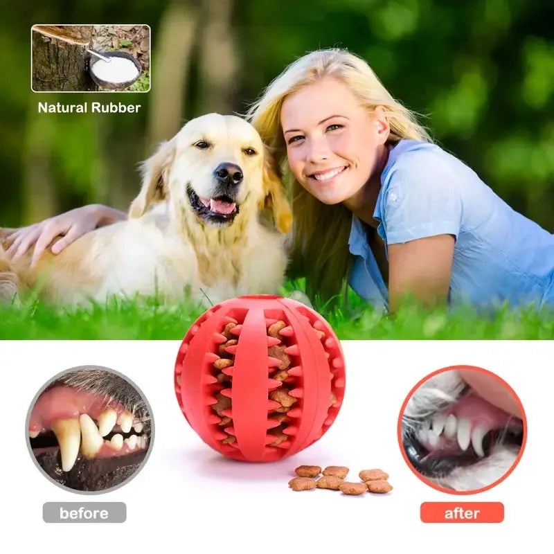 Balle jouet molaire pour chien 🦷 Jouet à mâcher en caoutchouc durable 🐶 Balle rebondissante pour le nettoyage des fuites de nourriture et des dents 🐾