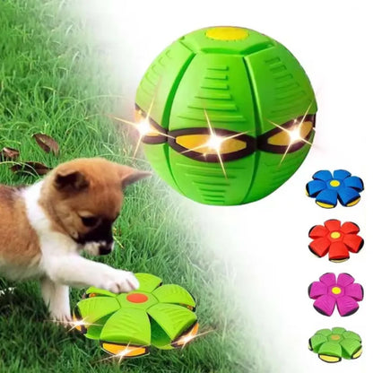 🚀 Jouet soucoupe volante pour chien – Balle d'extérieur résistante aux morsures 🐾 Entraînement amusant et interactif