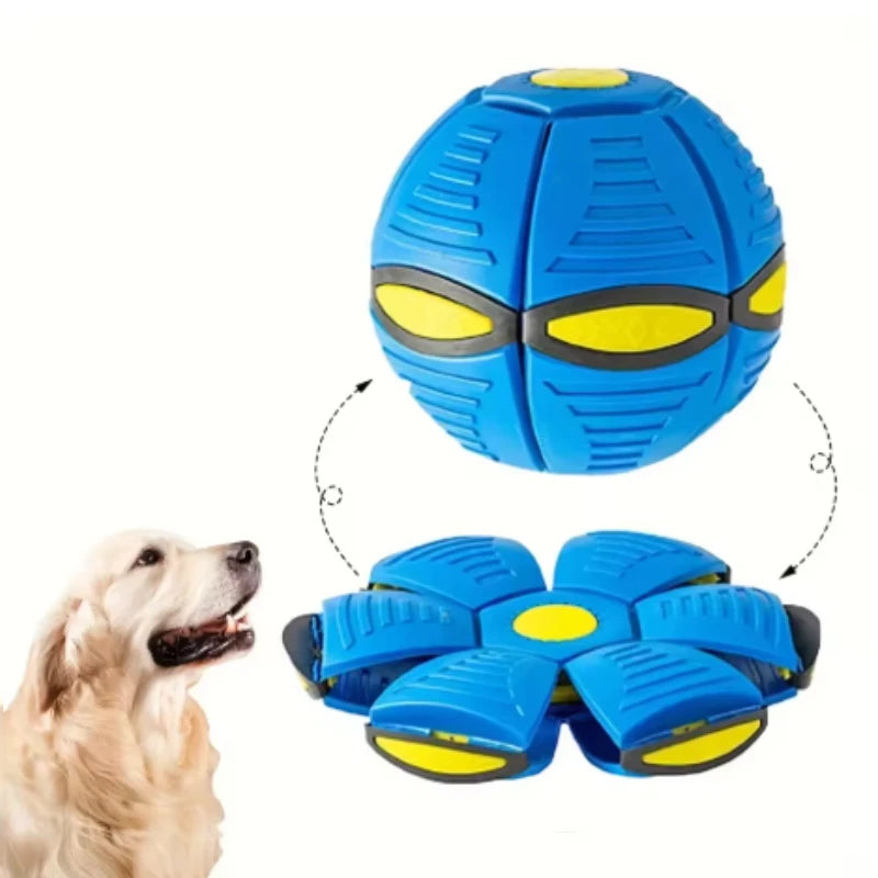 🚀 Jouet soucoupe volante pour chien – Balle d'extérieur résistante aux morsures 🐾 Entraînement amusant et interactif