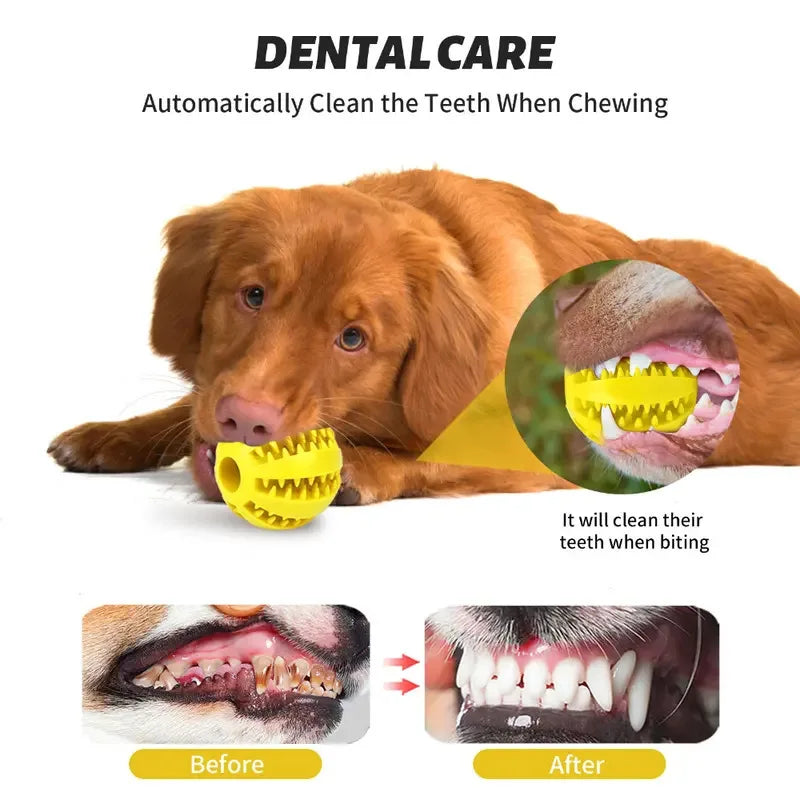Balle jouet molaire pour chien 🦷 Jouet à mâcher en caoutchouc durable 🐶 Balle rebondissante pour le nettoyage des fuites de nourriture et des dents 🐾