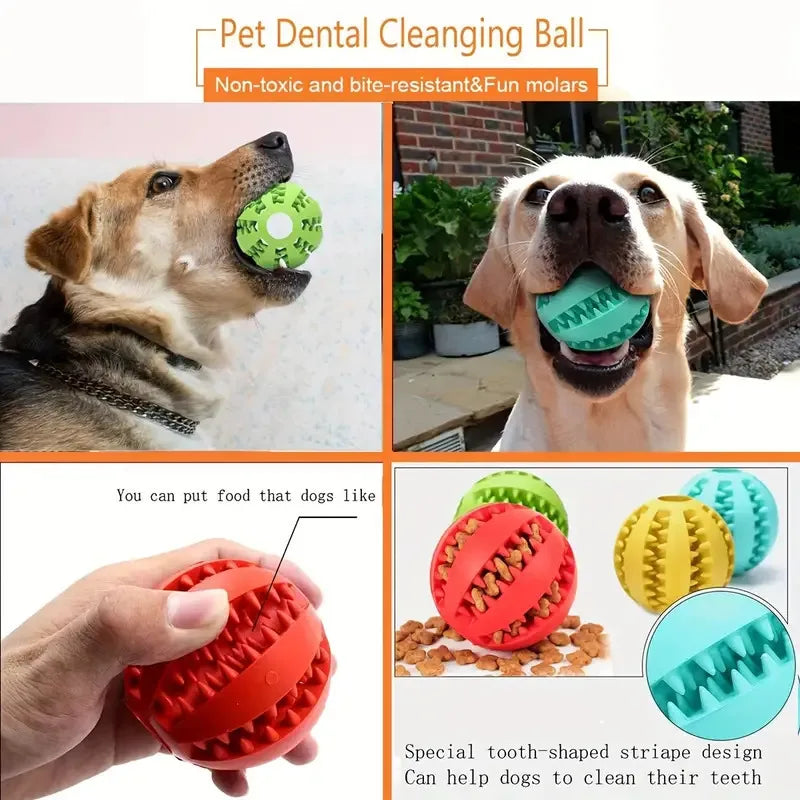 Balle jouet molaire pour chien 🦷 Jouet à mâcher en caoutchouc durable 🐶 Balle rebondissante pour le nettoyage des fuites de nourriture et des dents 🐾