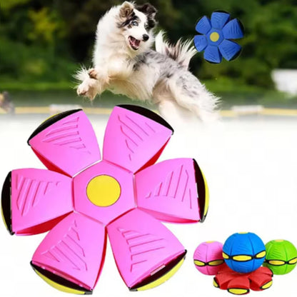 🚀 Jouet soucoupe volante pour chien – Balle d'extérieur résistante aux morsures 🐾 Entraînement amusant et interactif