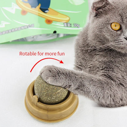 🌿 Balle à gratter murale à l'herbe à chat naturelle 🐱 – Jouet mural sain pour chats