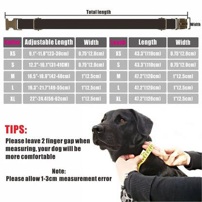 Collier personnalisé pour animal de compagnie 🐾 Ensemble étiquette d'identification et laisse personnalisées 🎀 Réglable