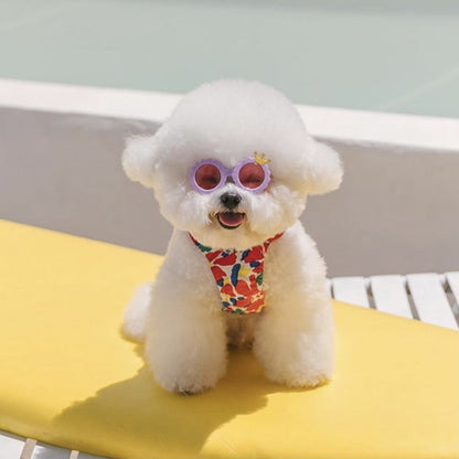 Chien Chat Lunettes de Soleil Mignonnes Bijoux Photo